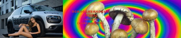 экстази Богородицк